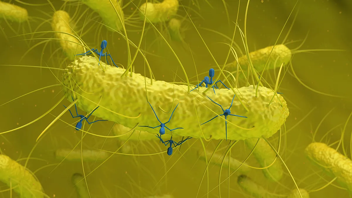 Nieuw ontdekt virus speelt mogelijk rol bij colorectale kanker