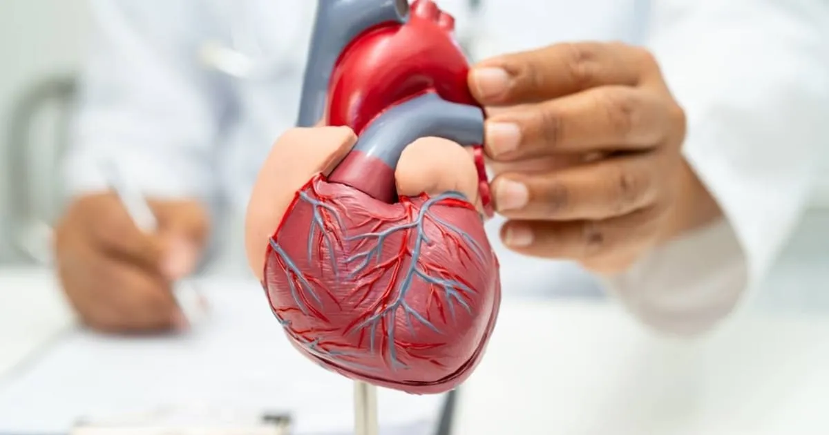 Traplopen: het "supervoedsel" van bewegen