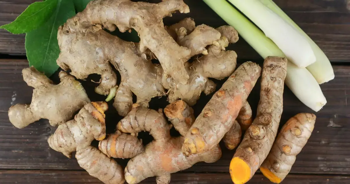 De wereld van specerijen: complexiteit, cultuur en gezondheid